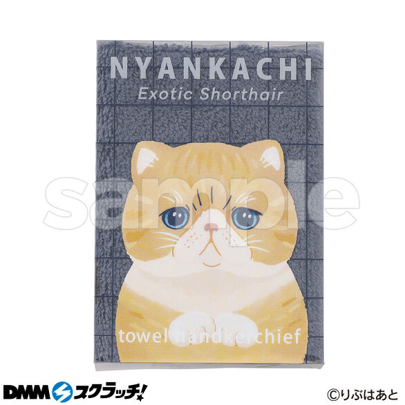 E-7.にゃんかち エキゾチックショートヘア