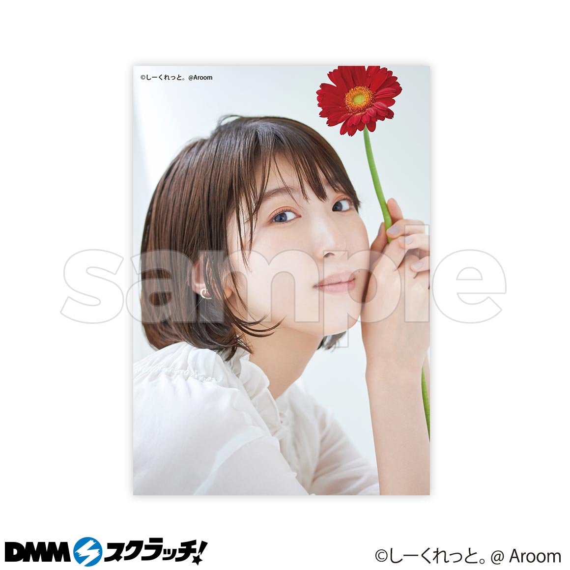 C-1商品詳細画像1