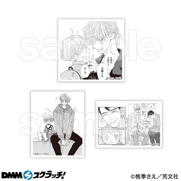 D-6.Fセット