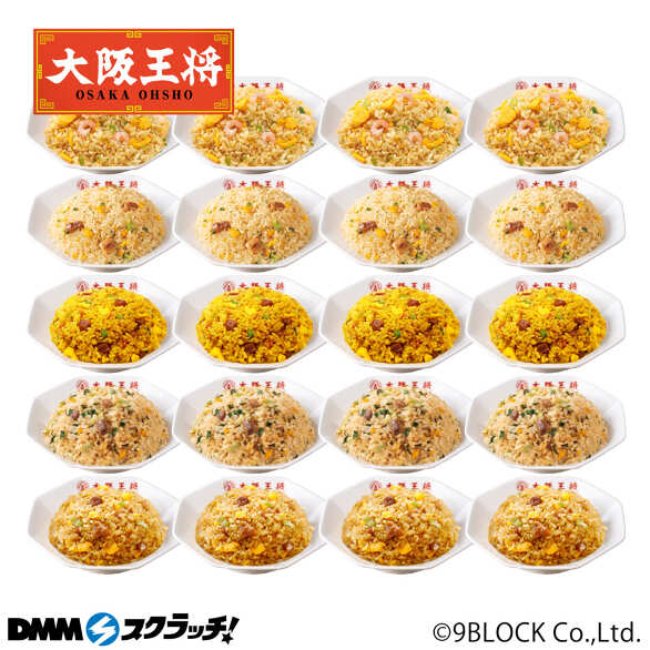 A-2.色々チャーハン5種20食セット