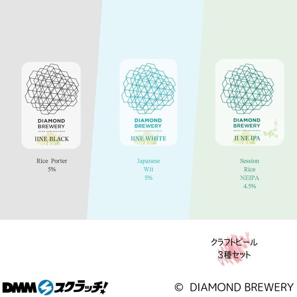 C-5.クラフトビール3本セット E