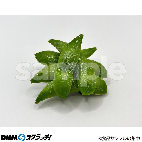 C-1.おつまみ枝豆