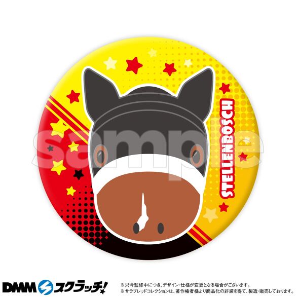 D-5.ステレンボッシュ