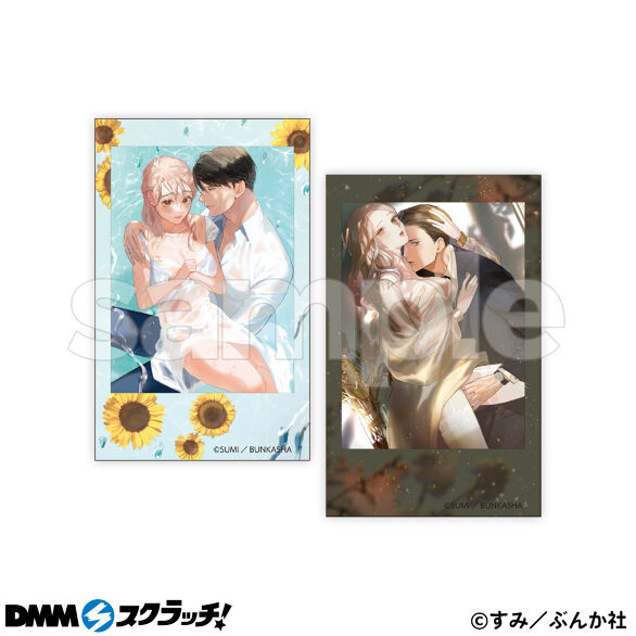 D-6.Fセット