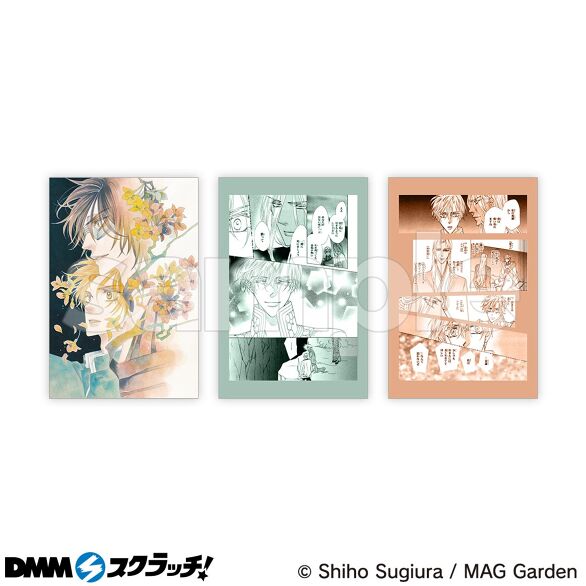 E-4.Dセット