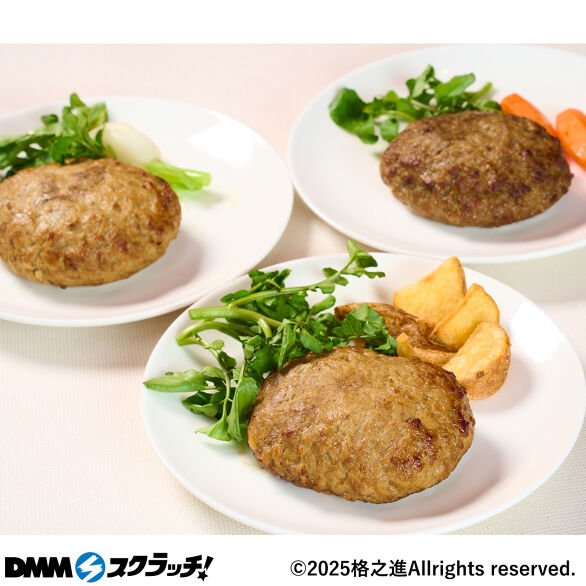 C-4.ヤケテルハンバーグ3種×各1個
