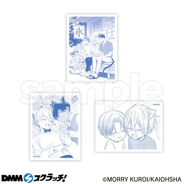 D-6.Fセット